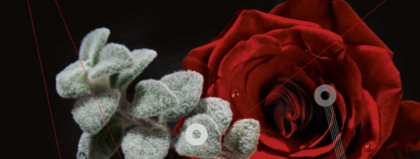 Luis Borda - Georgia Velivasaki - Encuentros Y Despedidas